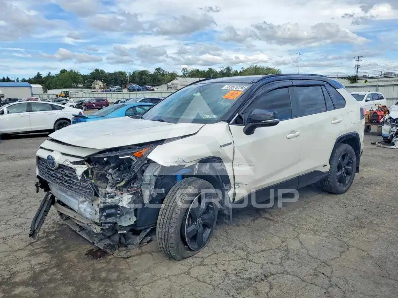 2019 Toyota RAV4 photo