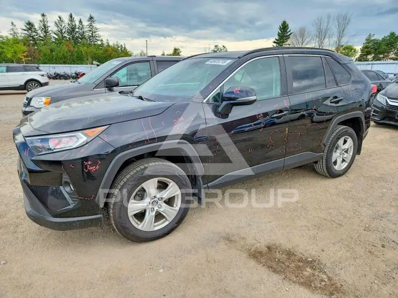 2019 Toyota RAV4 фото