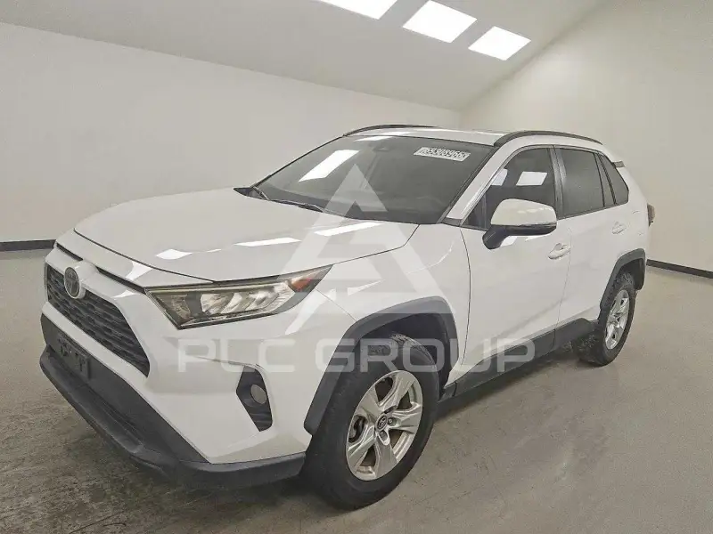 2019 Toyota RAV4 photo