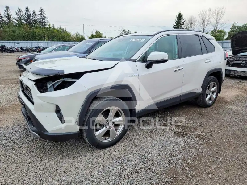 2019 Toyota RAV4 фото