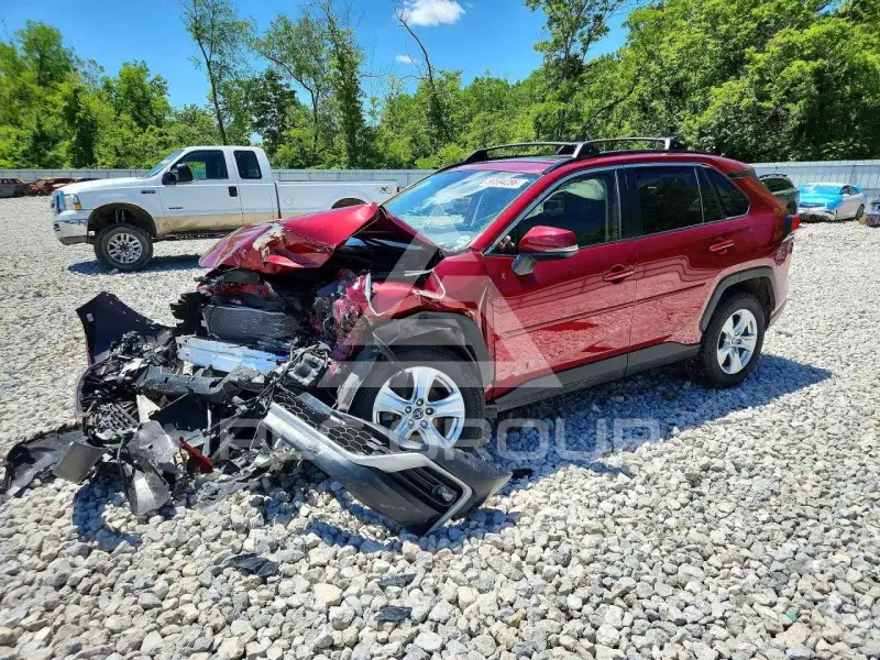 2019 Toyota RAV4 фото