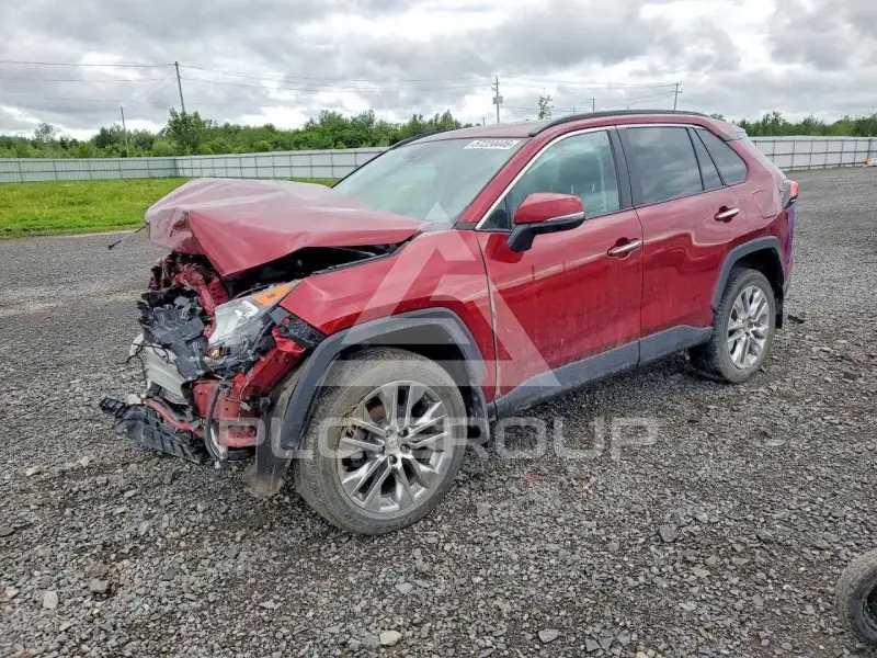 2019 Toyota RAV4 photo