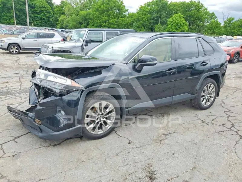 2019 Toyota RAV4 photo