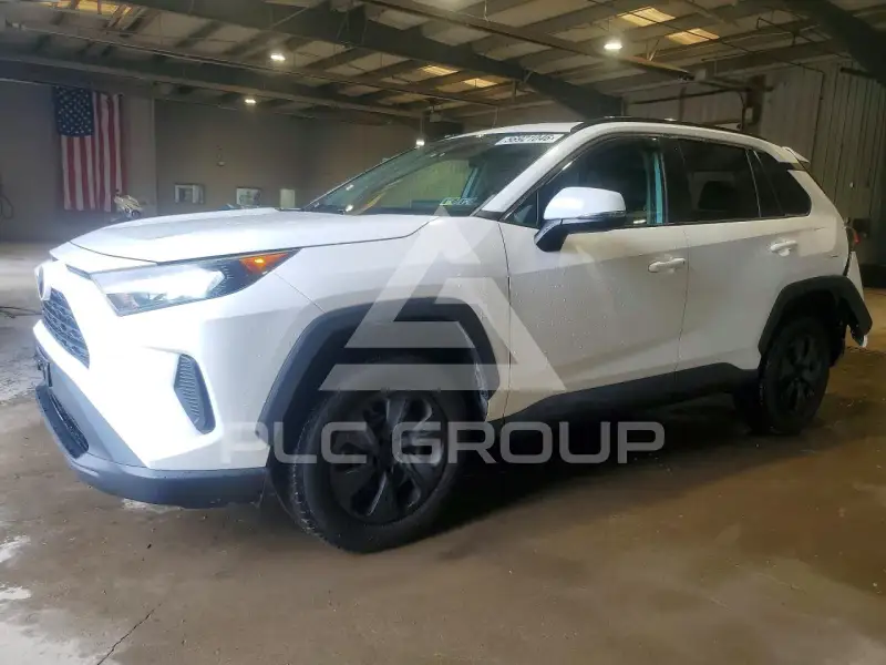 2019 Toyota RAV4 photo