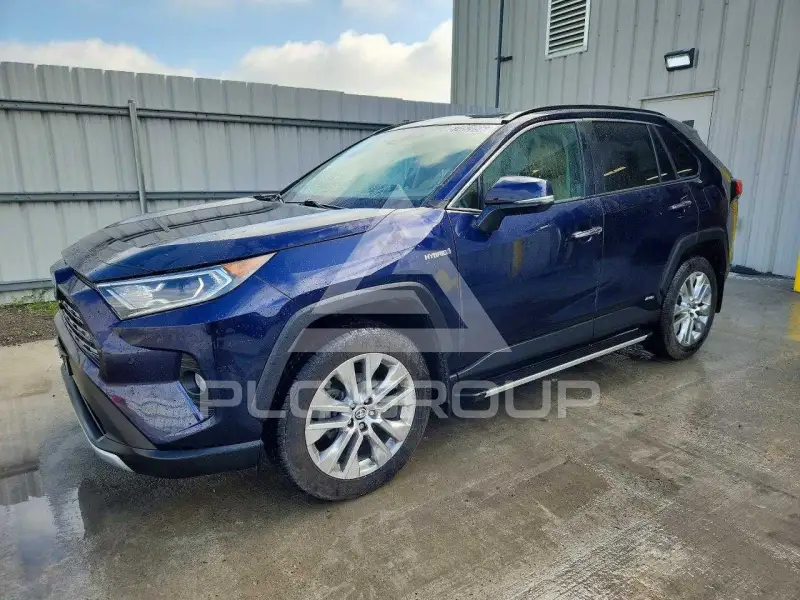 2019 Toyota RAV4 photo