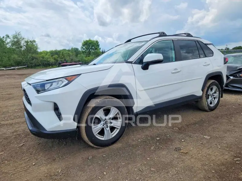 2019 Toyota RAV4 photo