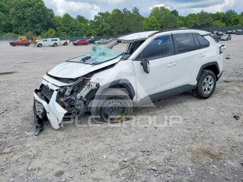 2019 Toyota RAV4 photo