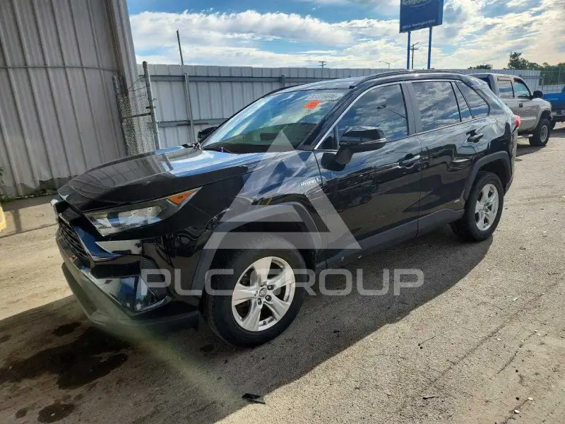 2019 Toyota RAV4 photo