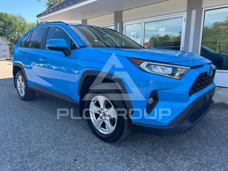 2019 Toyota RAV4 photo