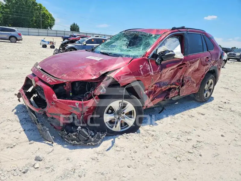 2019 Toyota RAV4 фото