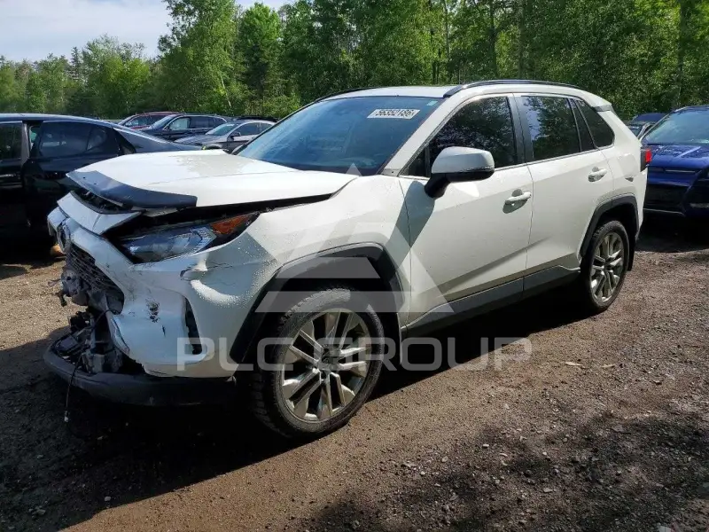 2019 Toyota RAV4 photo