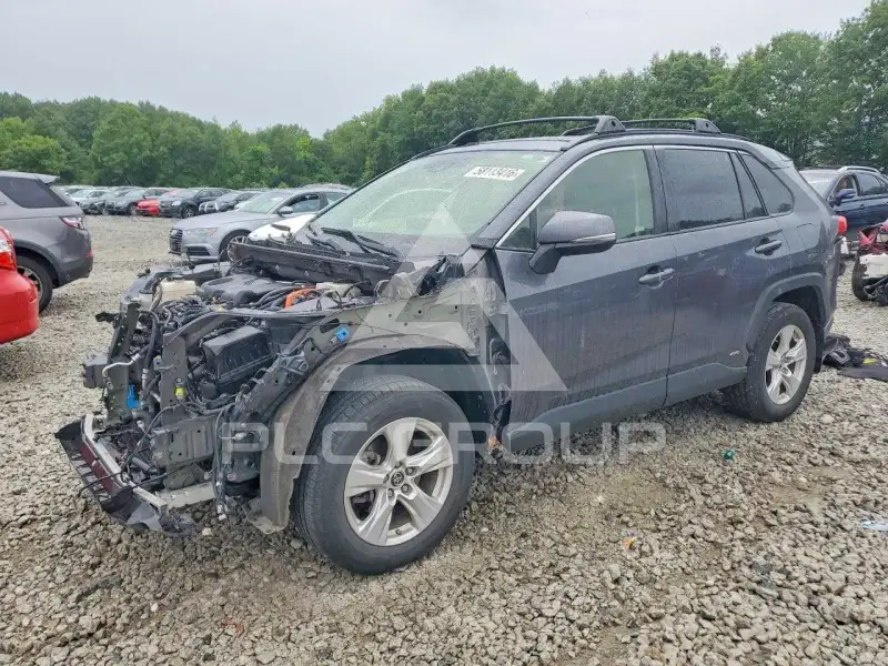 2019 Toyota RAV4 photo