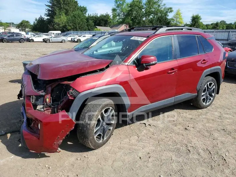 2019 Toyota RAV4 фото