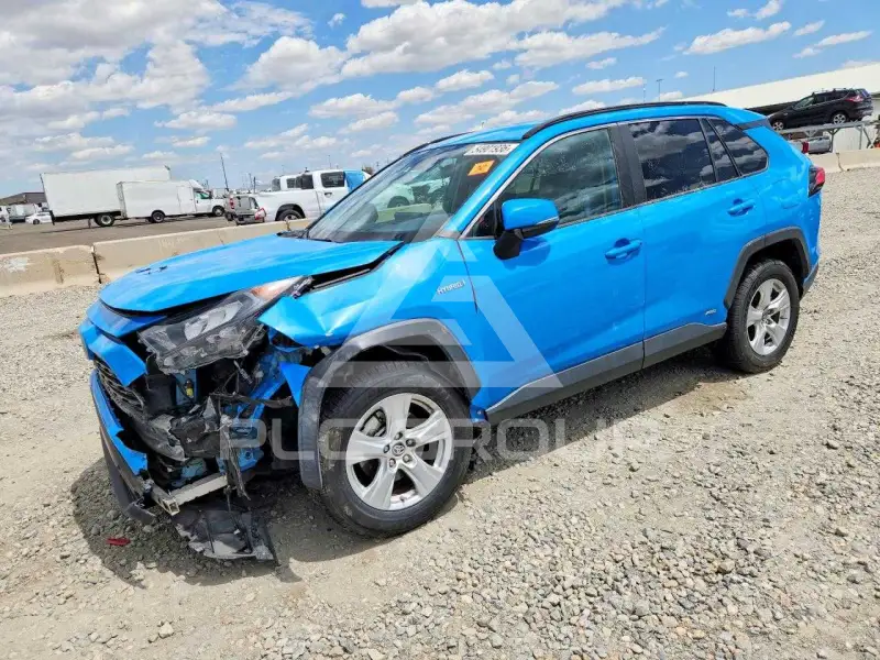 2019 Toyota RAV4 фото