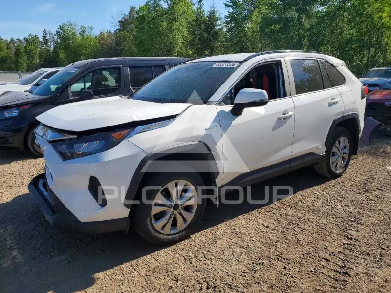 2019 Toyota RAV4 фото