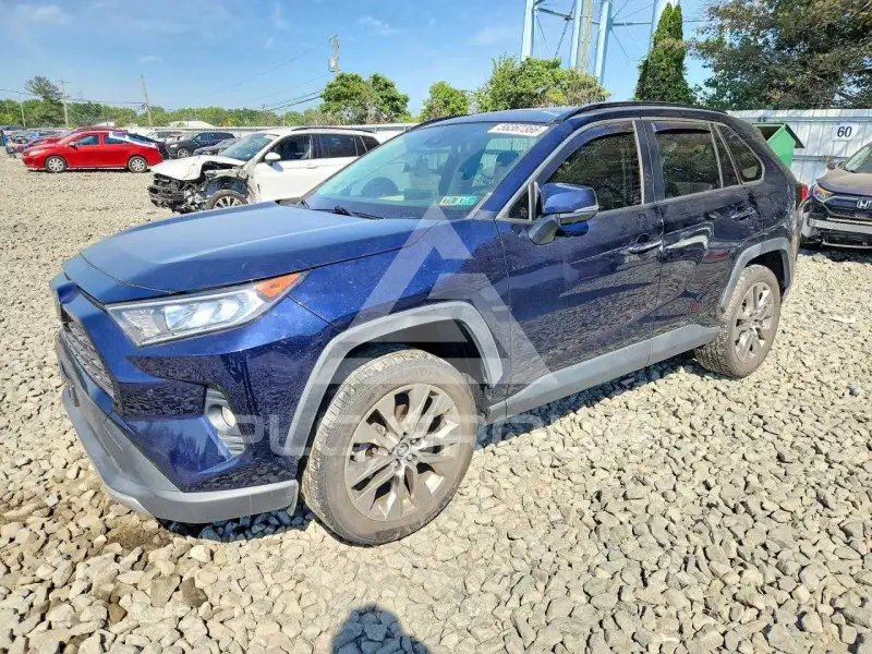 2019 Toyota RAV4 photo