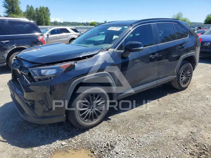 2019 Toyota RAV4 photo