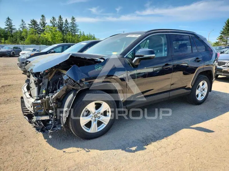 2019 Toyota RAV4 фото