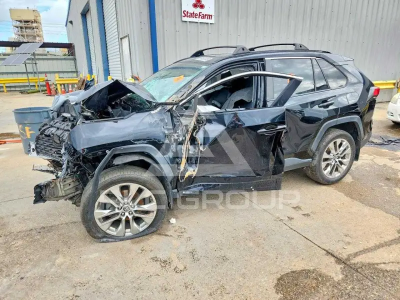 2019 Toyota RAV4 photo