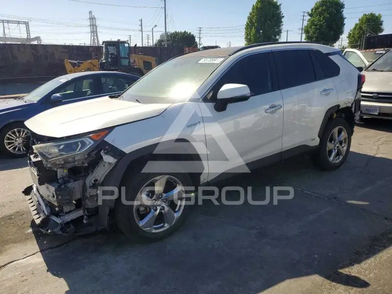 2019 Toyota RAV4 photo