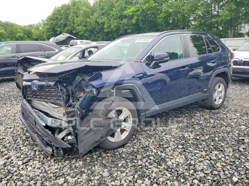 2019 Toyota RAV4 фото