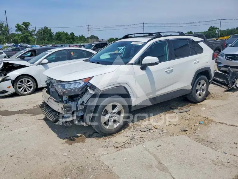 2019 Toyota RAV4 photo