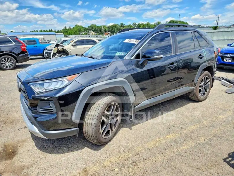 2019 Toyota RAV4 фото