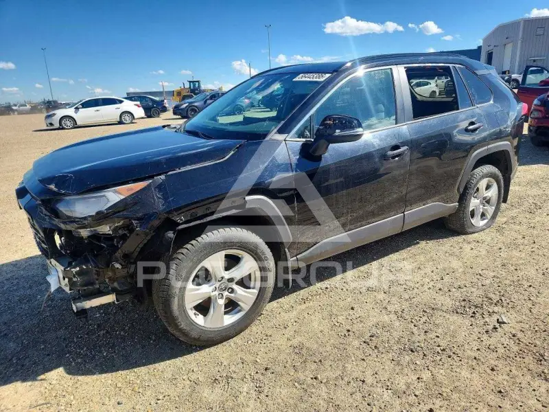 2019 Toyota RAV4 photo