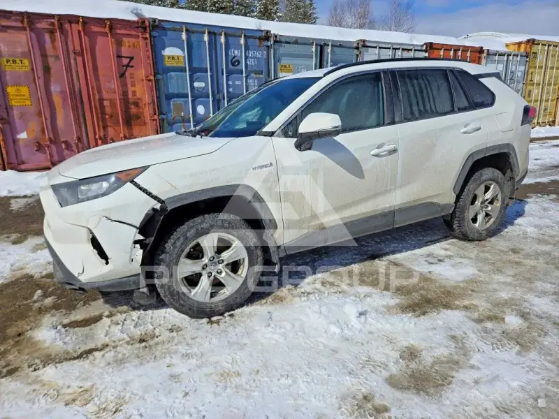 2019 Toyota RAV4 фото