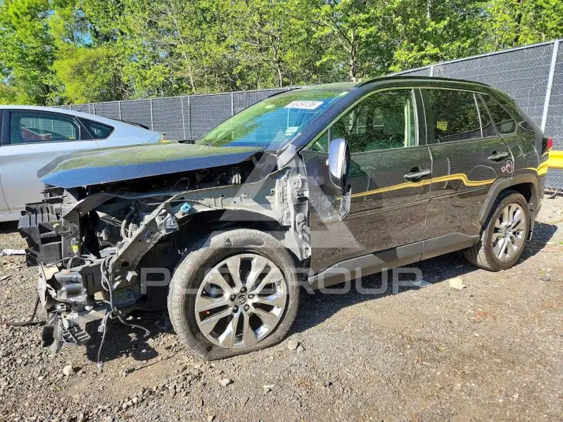 2019 Toyota RAV4 photo