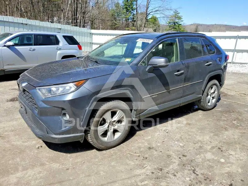 2019 Toyota RAV4 фото