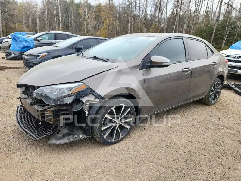 2019 Toyota COROLLA фото