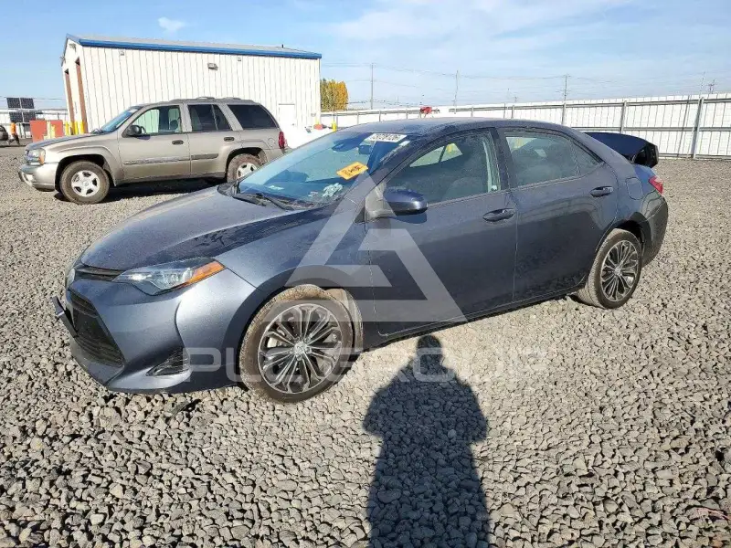 2019 Toyota COROLLA photo