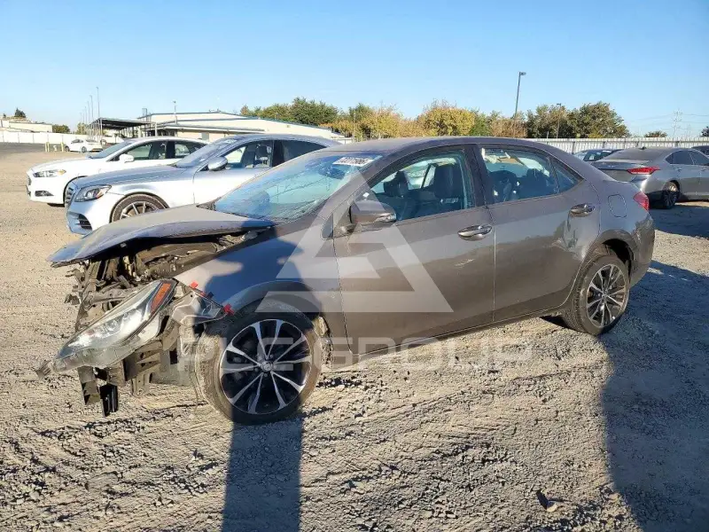 2019 Toyota COROLLA фото