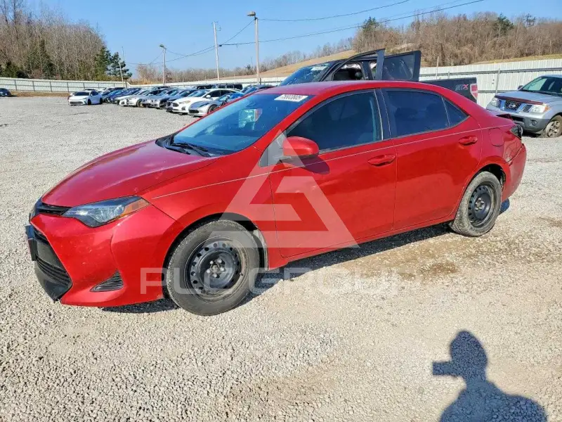 2019 Toyota COROLLA фото
