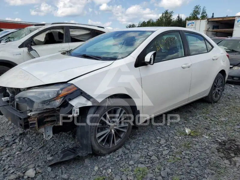 2019 Toyota COROLLA photo