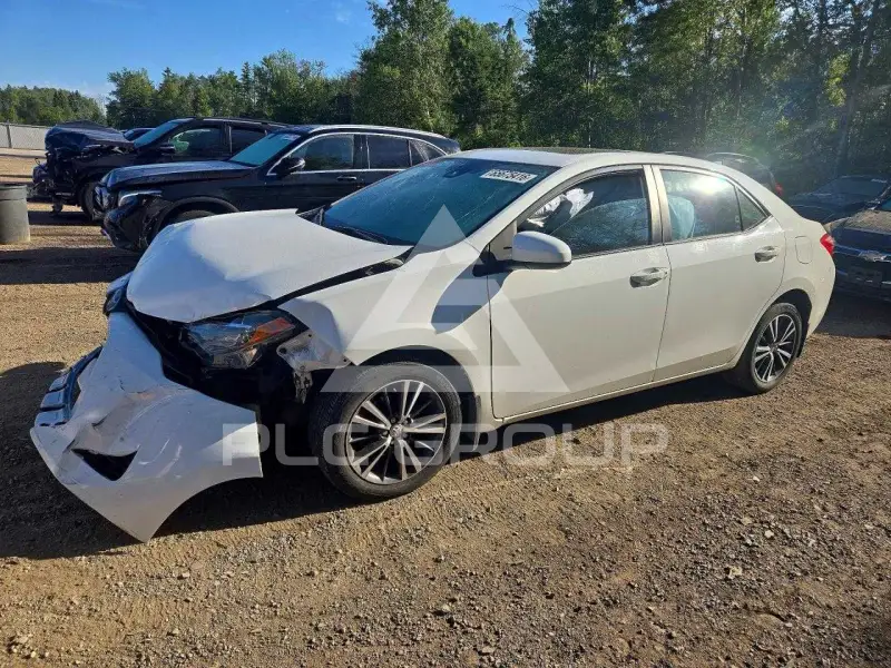2019 Toyota COROLLA photo