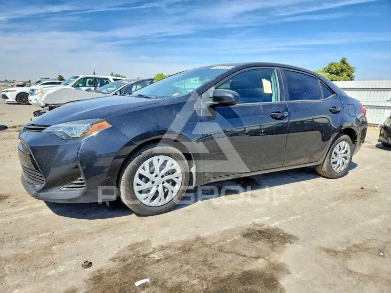2019 Toyota COROLLA photo
