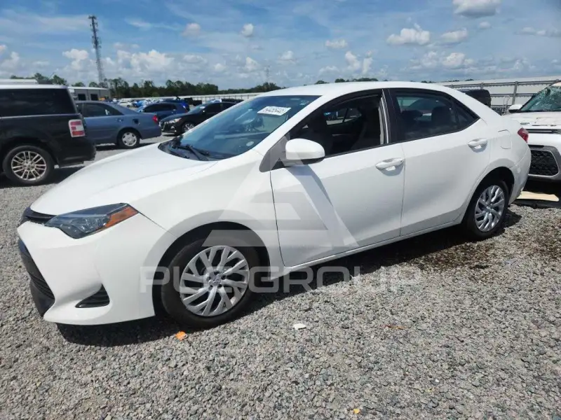 2019 Toyota COROLLA фото