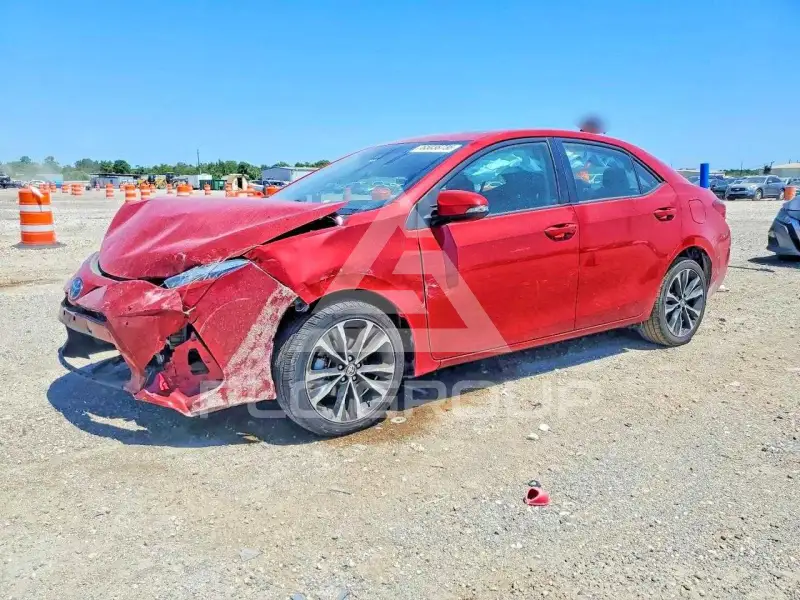 2019 Toyota COROLLA фото