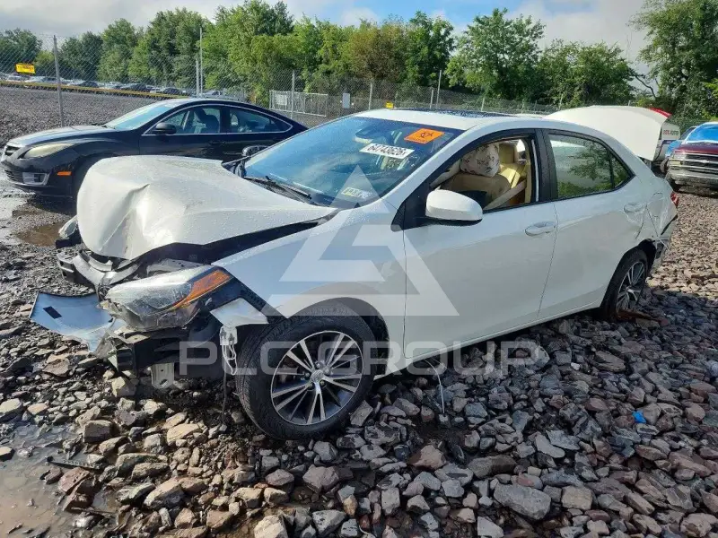 2019 Toyota COROLLA фото