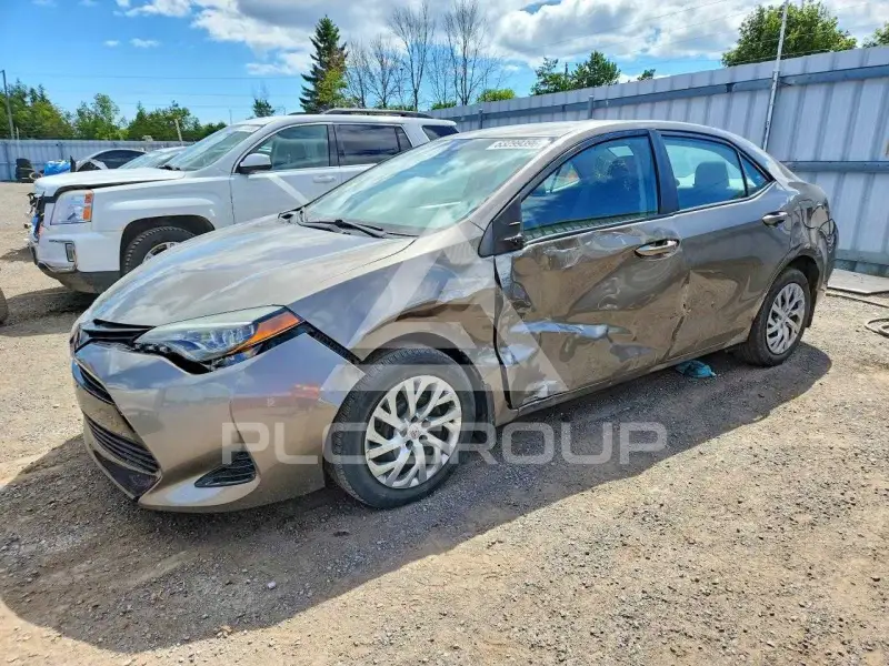 2019 Toyota COROLLA фото