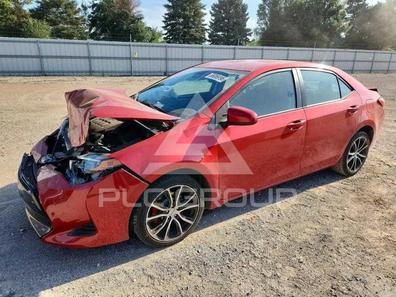 2019 Toyota COROLLA photo