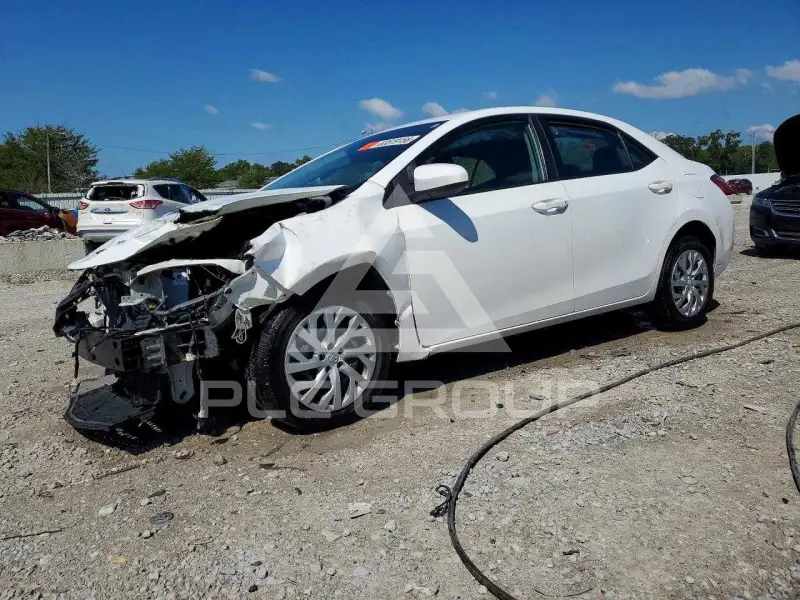2019 Toyota COROLLA photo