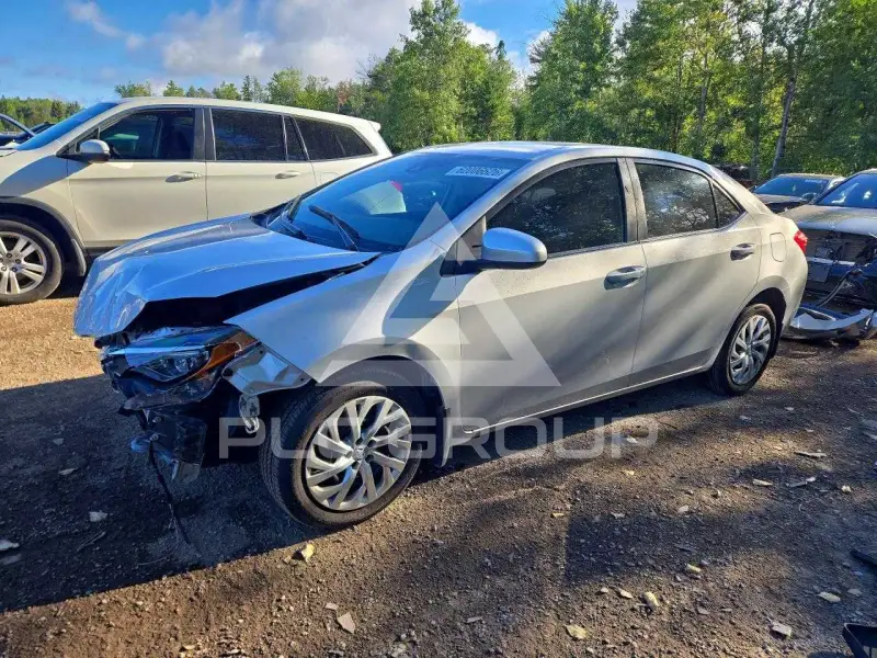 2019 Toyota COROLLA фото