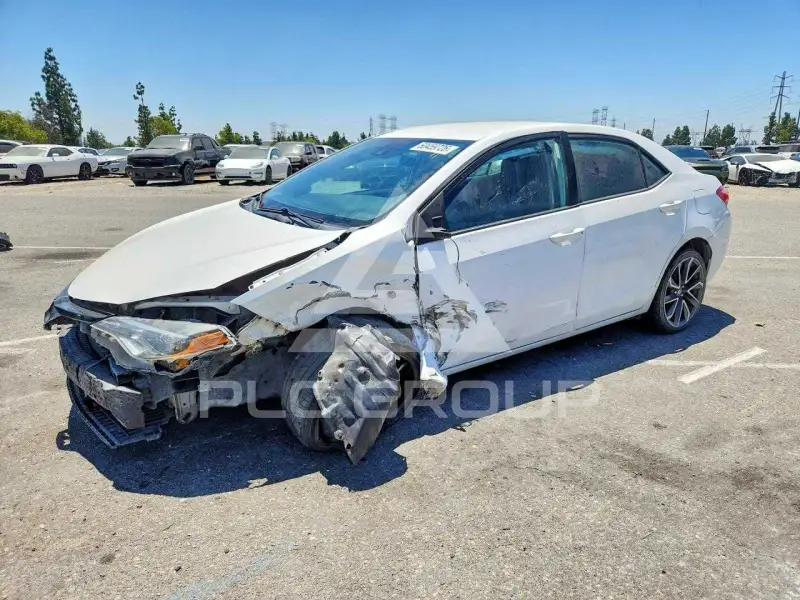 2019 Toyota COROLLA photo