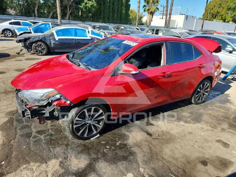 2019 Toyota COROLLA фото