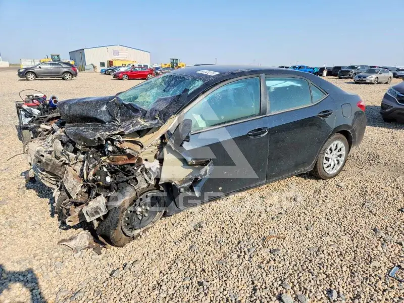 2019 Toyota COROLLA photo