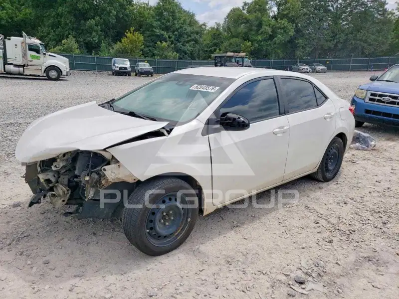 2019 Toyota COROLLA photo