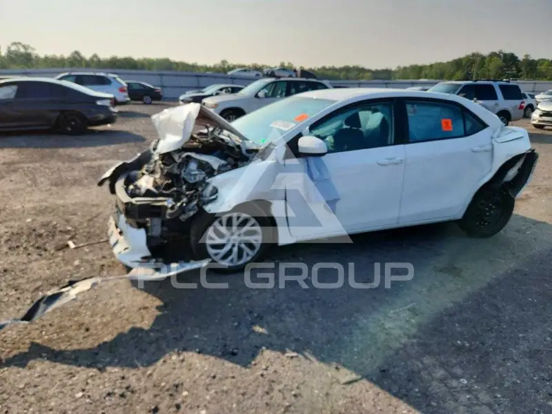 2019 Toyota COROLLA photo